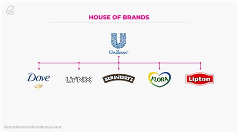 What Is Brand Architecture Examples Brand Master Academy
