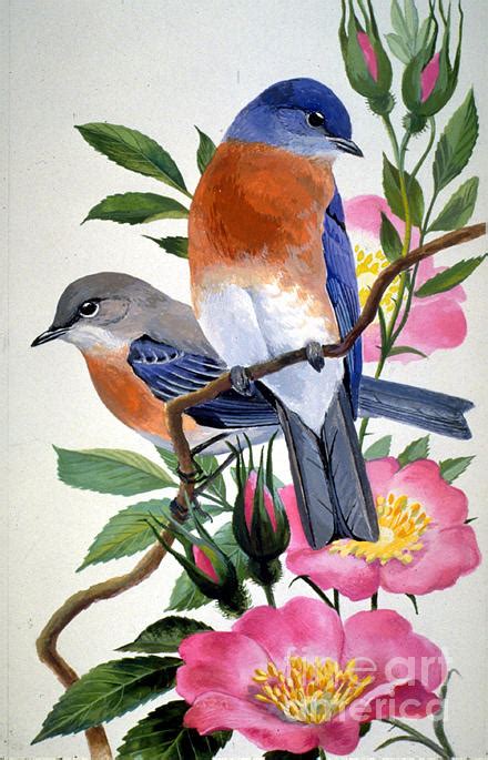 Check spelling or type a new query. State bird and flower of New York Painting by Alan Singer ...