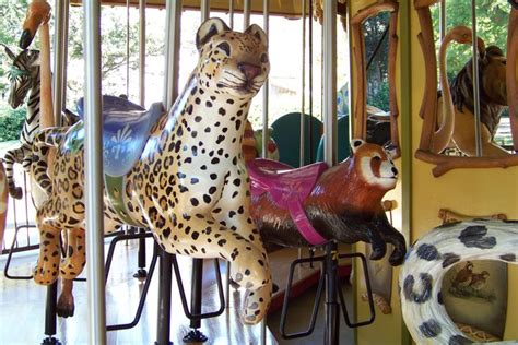 National Carousel Association Jackson Zoo Carousel L R Jaguar And