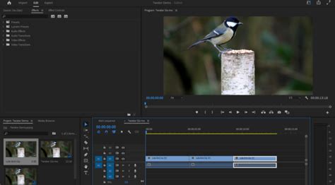 How To Use Twixtor To Slow Down Your Footage Videomaker