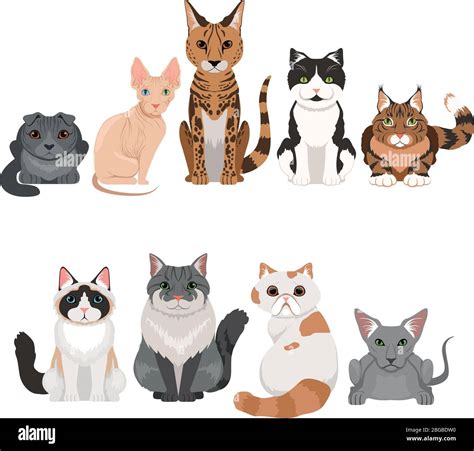 Vector Illustrations Set Of Many Different Kittens Cats Characters In