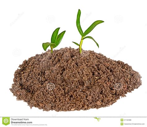 Soil Clipart 20 Free Cliparts Download Images On Clipground 2023