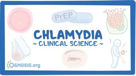 Chlamydia Trachomatis Infection Clinical Sciences Osmosis Video Library
