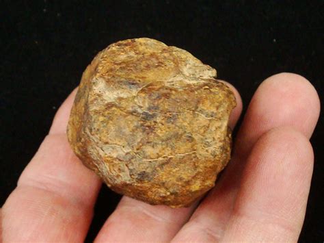 Goldbasinmeteorite242gms