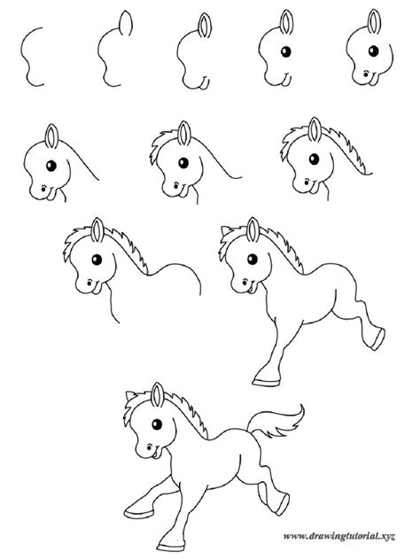 Easy Pictures Of Animals To Draw Step By Step Img Stache