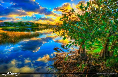 Sunrise Palm Beach Gardens Pond Apple Tree At Lake Hdr Photography By
