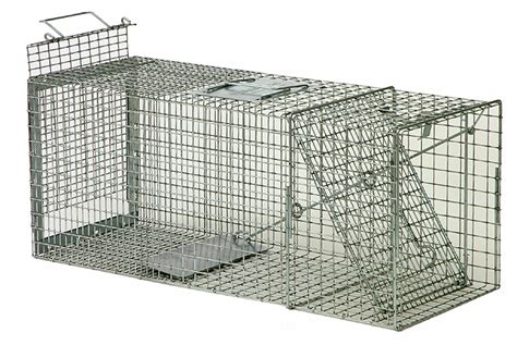 We use our trap to catch cats. cat trap, cat traps, cat cage, cat cages, cat trapping ...
