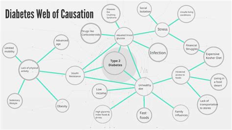 Diabetes Web Of Causation By Tommy Truong On Prezi