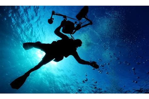 13 Different Types Of Diving Explained Diving Types Love Free Diving