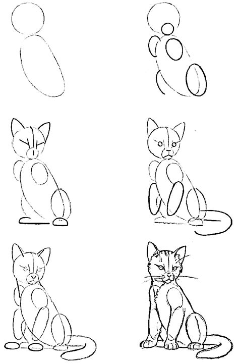 how to draw a cat step by step 10 drawing tutorials for beginners how to draw in 1 minute