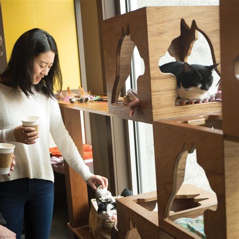 The Seattle Pet Owner's Guide | Seattle Met