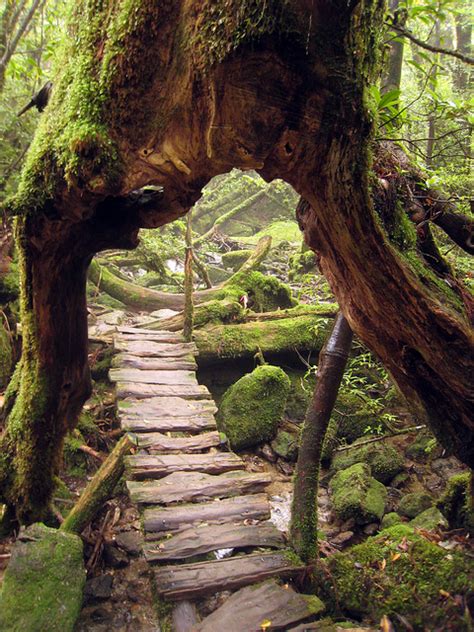 Shiratani Unsuikyo Ravine On Our First Full Day In Yakushi Flickr