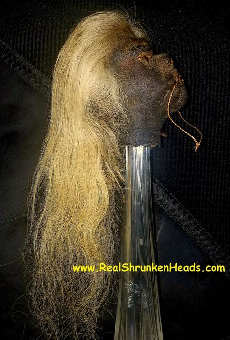 For Sale Very Rare Female Shrunken Head Circa 1930s