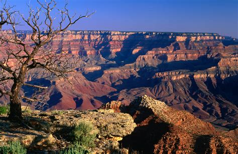 Grand Canyon National Park Travel Usa Lonely Planet