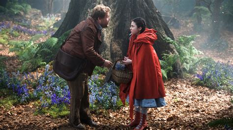 ‘into The Woods Disneys Take On The Sondheim Lapine Classic The