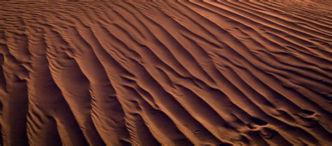 Sahara Textures Sergio Sicilia