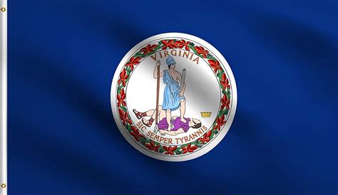 Dmse Virginia State Flag 3x5 Ft Foot 100 Polyester 100d