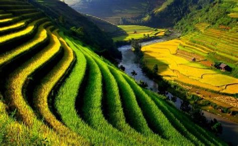Vietnams Impression On National Geographic News Vietnamnet
