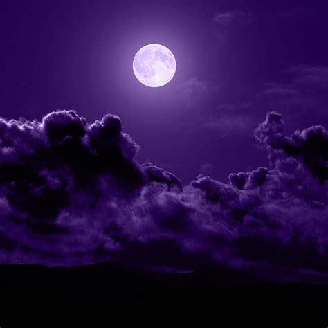 Purple Sky Purple Moon Ungu