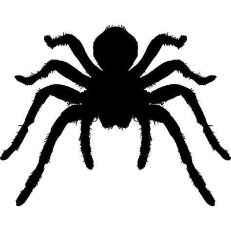 Spider Tarantula Insect Arthropod Animal Silhouettes Png Download