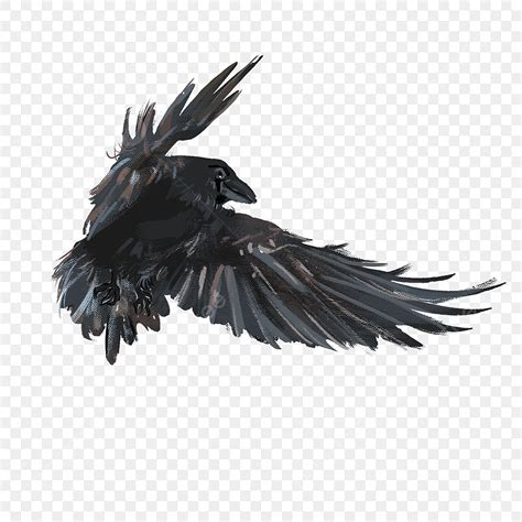 Flying Crow Png Image Sky Flying Crow Clip Art Fly Crow Clipart Png Image For Free Download