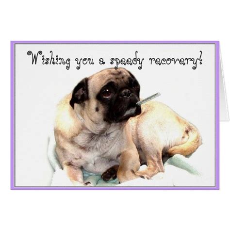 Wishing You A Speedy Recovery Pug Greeting Card Zazzle Ca
