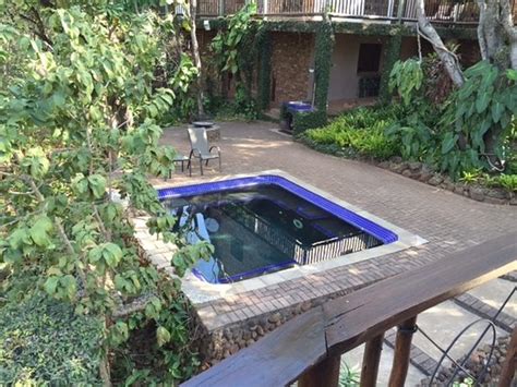 Blue Jay Lodge Updated 2017 Bandb Reviews And Price Comparison Hazyview South Africa Tripadvisor