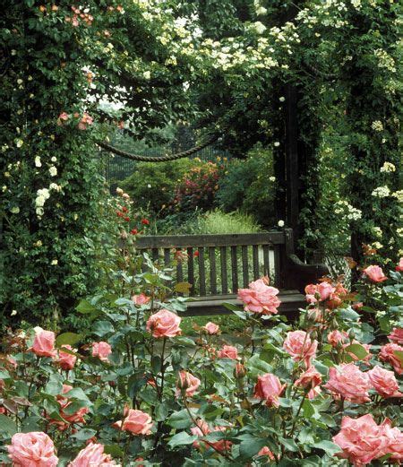 The Garden Aesthetic Flowerzandgardenz