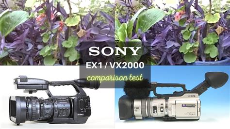 Sony Pmw Ex1 Sony Vx2000 Comparison Test Youtube