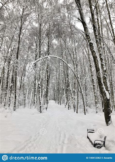 Winter Landscape With Snow Covered Trees Bench And Footpath Stock Photo Image Of Path Park