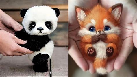 10 Cutest Baby Animals That Will Make You Go Aww Youtube
