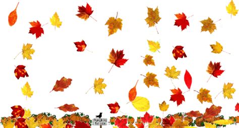 Download High Quality Fall Leaves Clipart Animated Transparent Png