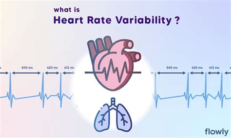 Heart Rate Variability What Is Hrv And Why Does It Matter