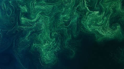Download 1920x1080 Green Sea Abstraction Surface Top View Wallpapers