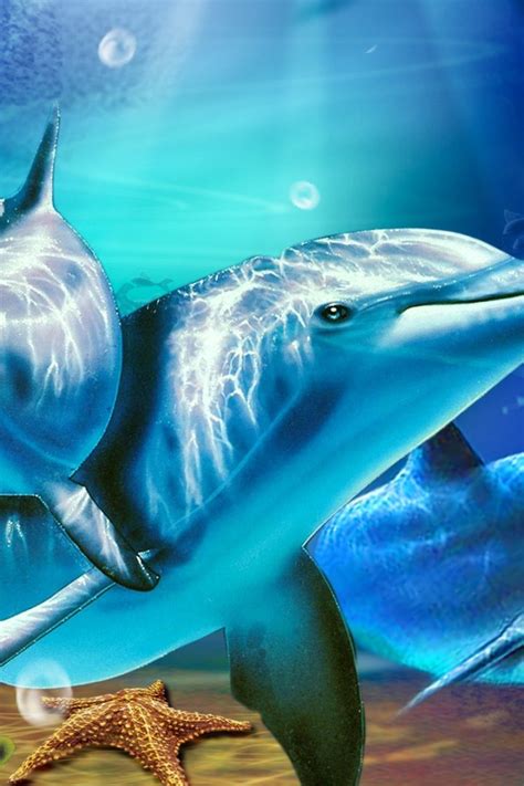 39 Colorful Dolphin Wallpaper Wallpapersafari
