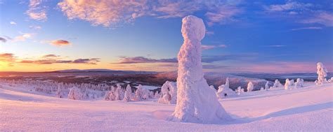 Sunset Over Frozen Trees On A Mountain Finnish Lapland Stock Image