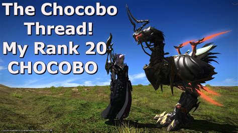 After getting your black chocobo in ishguard, many probably asked if that's the only chocobo that can fly. 「FINAL FANTASY XIV」Heavensward: The Chocobo Thread "My Rank 20 Chocobo (Guide)" - YouTube
