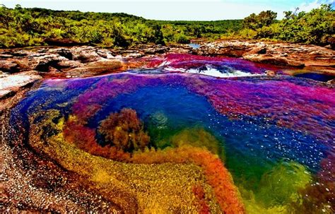 Caño cristales is a colombian river located in the serrania de la macarena province of meta, and is a tributary of the guayabero river. Reasons for Living in Colombia and buying real estate