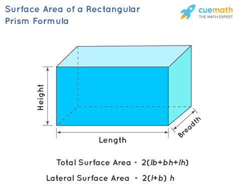Surface Area Of Rectangular Prism Formula Find Tsa Lsa