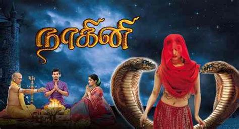 Naagini 5 colors tamil serial tiktok | naagini 5 serial sun tv tamil dubsmash latest videos #nagini #colors #naginitamilserial. Nagini Serial On Sun TV - Tamil Horror TV Serial (Naagin ...