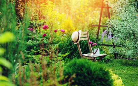 5 Essentials To Turn Your Garden Into A Paradise True Relaxations