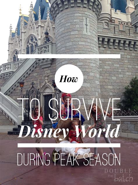 How To Survive Disney World During The Peak Season