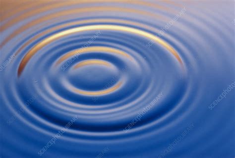 Ripples From Water Drop Stock Image A1800024 Science Photo Library