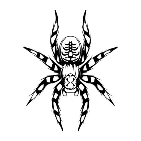 Tatuaje Spider Imágenes De Stock De Arte Vectorial Depositphotos