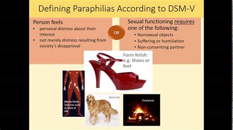 human sexuality ch 14 defining paraphilias youtube