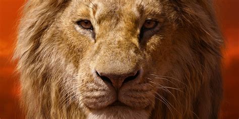 Jeff nathanson, brenda chapman stars: Lion King Character Posters Reveal Best Look At Timon ...