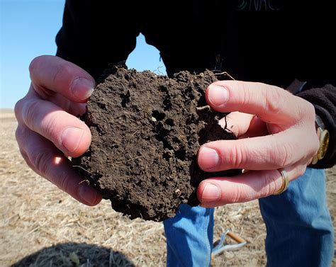 Healthy Soil Seasonally Fresh