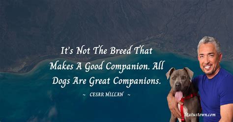 Its Not The Breed That Makes A Good Companion All Dogs Are Great