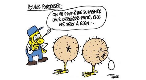 Charlie Hebdo Les Meilleures Caricatures Vertes Du Journal