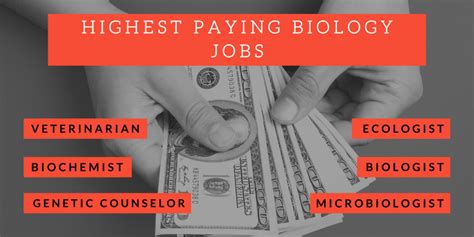 Highest Paying Jobs With A Biology Degree Degrees In Biology Majors And Careers